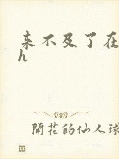 来不及了在车ch