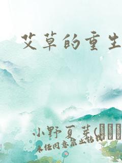 艾草的重生之路