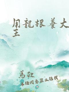 用龙根养大的公主