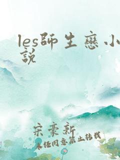 les师生恋小说