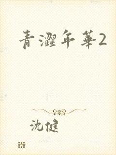 青涩年华2