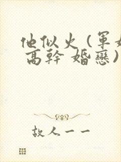 他似火 (军婚 高干 婚恋)小说免费阅读