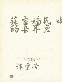 苏家嫡氏 吃肉的长耳兔