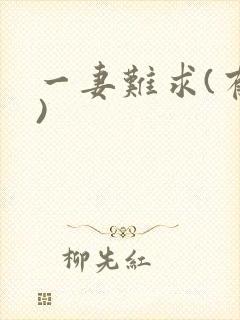 一妻难求(有肉)