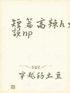 短篇高辣h文小说np