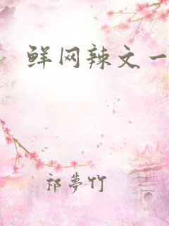 鲜网辣文一对一