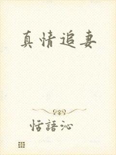 真情追妻