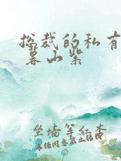 总裁的私有宝贝 暮山紫