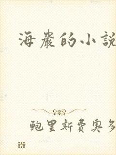 海岩的小说