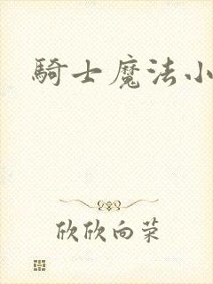 骑士魔法小说