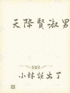 天降贤淑男小说