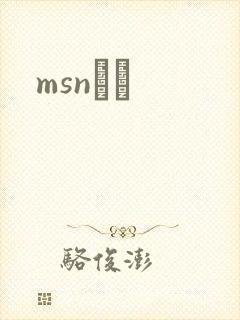 msnС˵