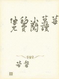 他的小草莓全文免费阅读