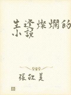 生逢灿烂的日子小说