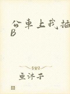 公车上我插上骚B