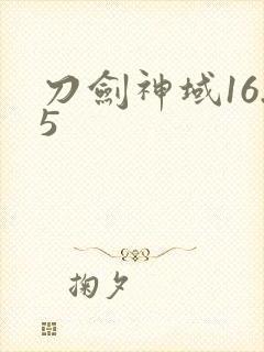 刀剑神域16.5