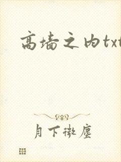高墙之内txt
