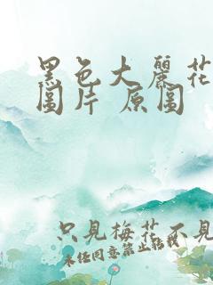 黑色大丽花真实图片 原图