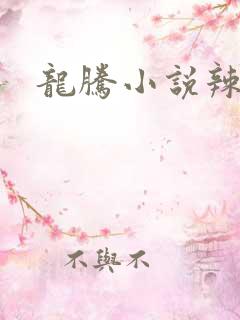龙腾小说辣文网