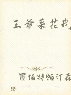 王爷采花我采草