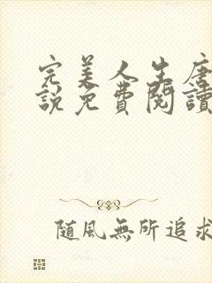 完美人生唐诚小说免费阅读