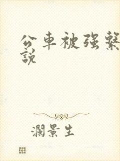 公车被强系列小说