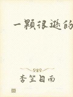 一颗很逊的卤蛋