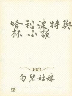 哈利波特与火焰杯 小说