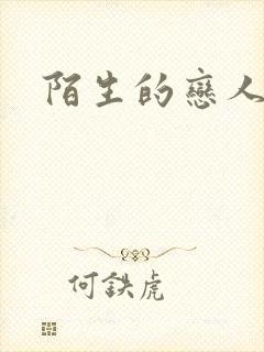 陌生的恋人小说