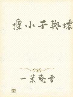 傻小子与坏女人