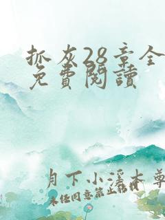 抓灰28章全部免费阅读