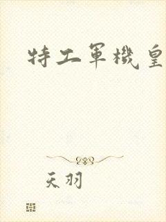 特工军机皇后