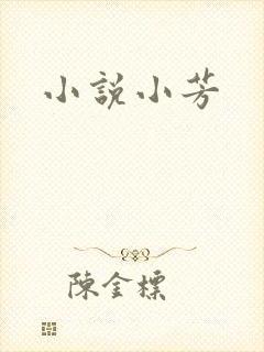 小说小芳