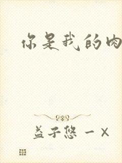 你是我的肉便器