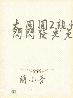 大团圆2亲情会闪闪发光免费