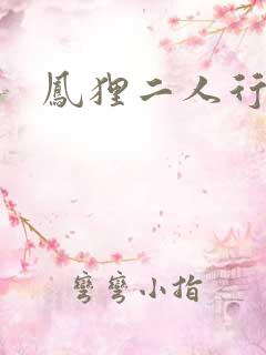 凤狸二人行
