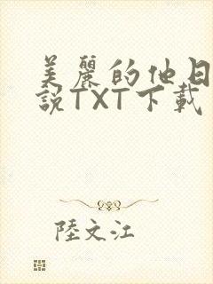 美丽的他日剧小说TXT下载