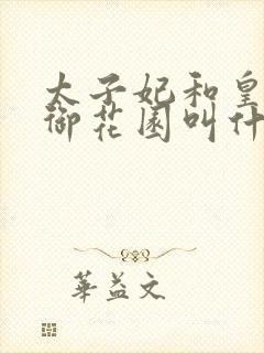 太子妃和皇帝在御花园叫什么小说