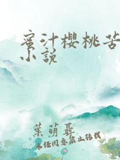 蜜汁樱桃苦咖啡小说