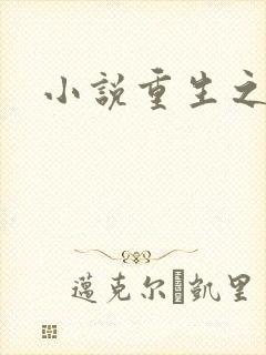 小说重生之官道