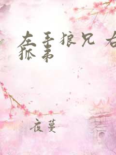 左手狼兄 右手狐弟