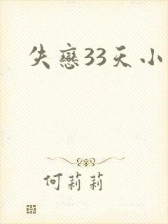 失恋33天小说
