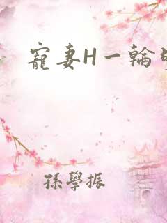宠妻H一轮明月