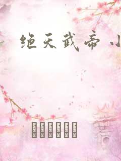 绝天武帝 小说