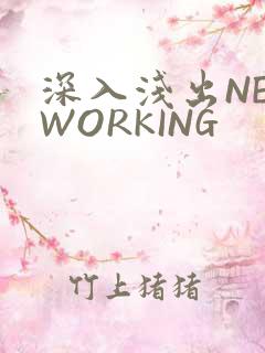 深入浅出NETWORKING