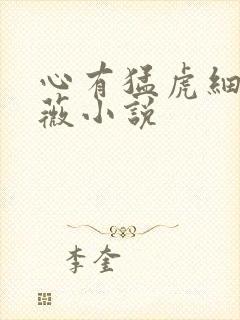 心有猛虎细嗅蔷薇小说