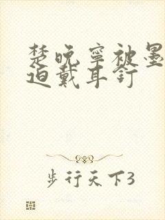 楚晚宁被墨燃强迫戴耳钉