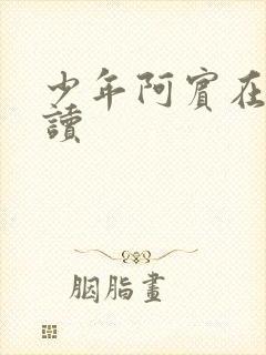 少年阿宾在线阅读