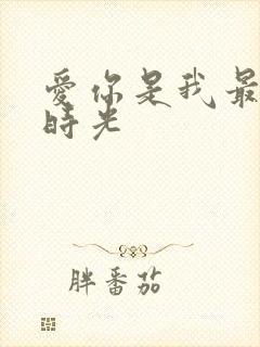 爱你是我最好的时光