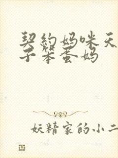 契约妈咪天才儿子笨蛋妈